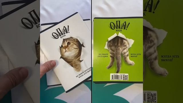 Серия "ОПА!" на тетрадях 48 листов смотреть онлайн