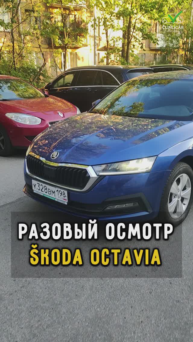 Бомбическая Октавия 💣 #автоподборспб #автоизевропы #автоподбормосква