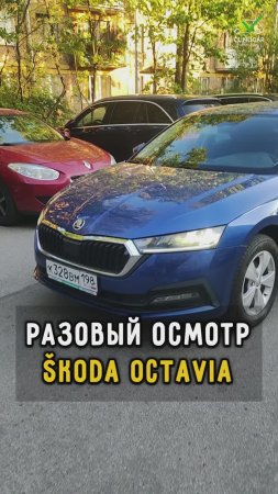 Бомбическая Октавия 💣 #автоподборспб #автоизевропы #автоподбормосква