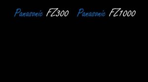 Panasonic FZ300 vs Panasonic FZ1000