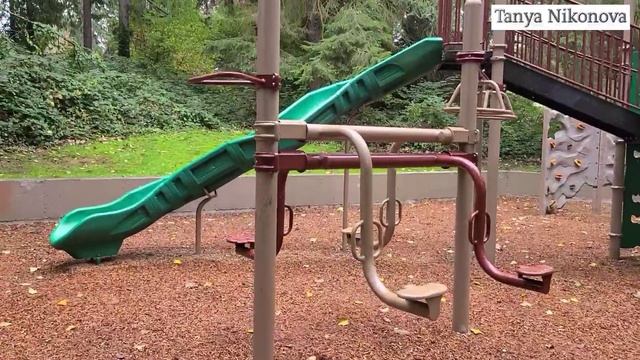 Гуляем по аллее в парке между домов. Как в дремучем лесу. смотреть онлайн