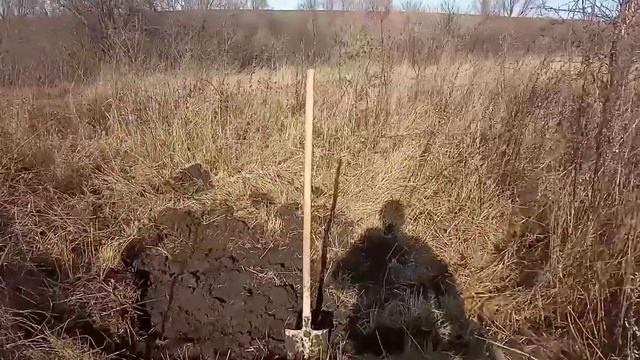 Почему не растут деревья в саду .Пересадка деревьев на другое место . смотреть онлайн