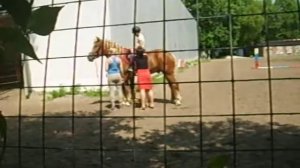 Маленький мальчик первый раз сел на лошадь.