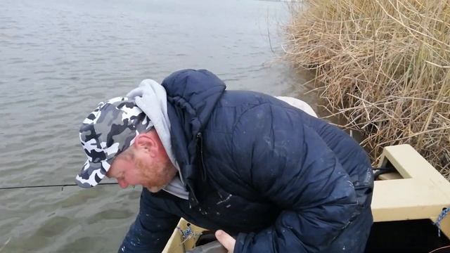 сазана на 12 кг  взял на раскатах около каспия смотреть онлайн