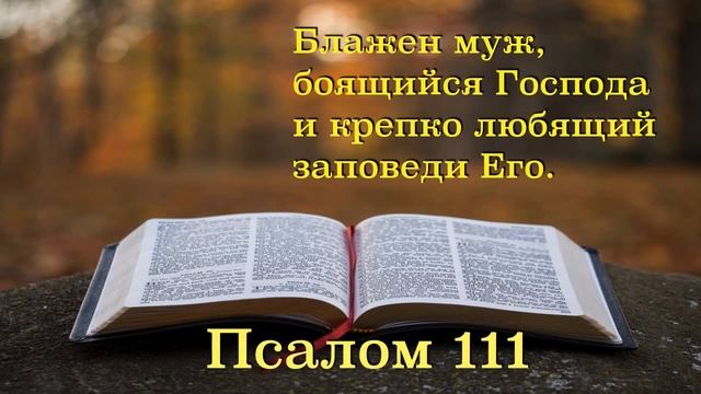 Блажен муж, боящийся Господа и крепко любящий заповеди Его Псалом 111. смотреть онлайн