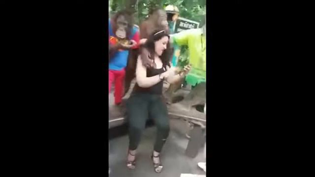 Оказывается орангутанги тоже домагаются красивых девушек смотреть онлайн