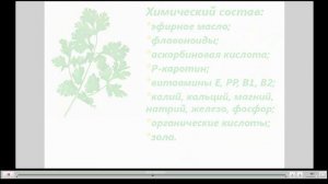 Петрушка Полезные свойства