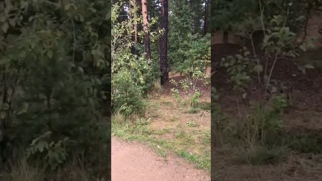Карьер.Земля свободного назначения.Земля Ленобласть