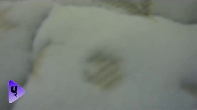 Как очистить матрас Urine Stains  убрать пятна от детей отмыть кровать диван Clean The Stains