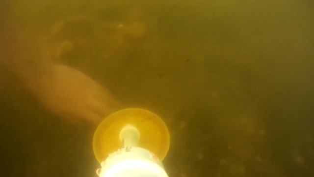 МД пират подводный смотреть онлайн