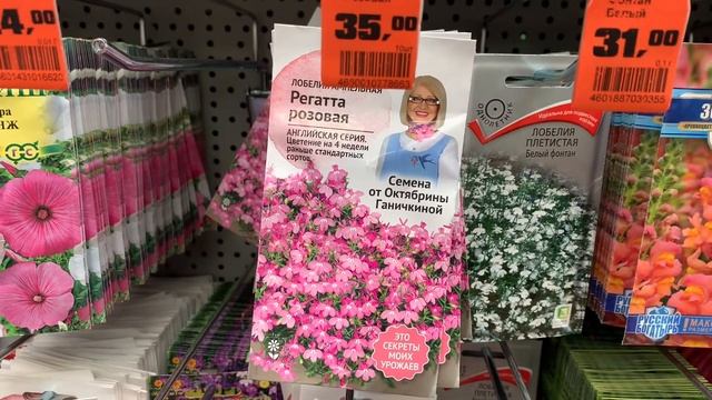 Сезон РАССАДЫ открыт❗️Семена ЛОБЕЛИИ Лобелия ампельная Сапфир и Регатта розовая Особенности, цена. смотреть онлайн