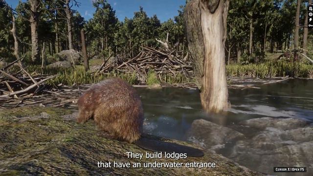 Beaver Builders: A RDR2 Gaming Adventure (David Attenborough AI Voiceover) смотреть онлайн