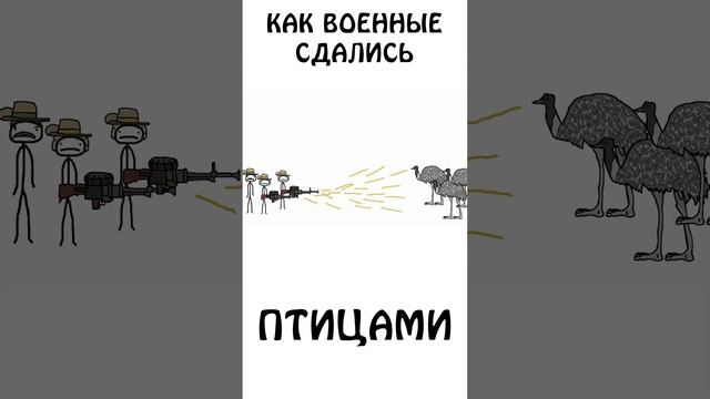 "Реальная история о том, как военные сдались птицам" #эму #страус #сэмонелла #шортс #реальнаяистори