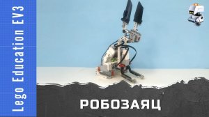 Lego EV3 Робозаяц. Программирование движения и датчик цвета