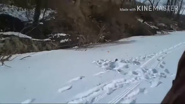 Рыбалка на жерлицы 28.03.2018 смотреть онлайн