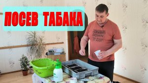Посев табака на рассаду. Петуния удивила. Наша жизнь в деревне