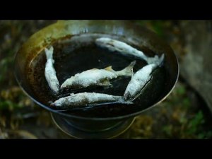 Рыбалка на два пескаря Лето Утро Речка Карповка 08 06 2024