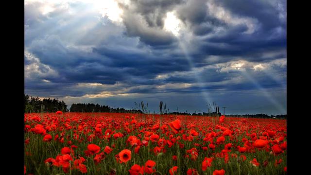 Чтение Корана Мишари Рашид смотреть онлайн