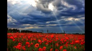 Чтение Корана Мишари Рашид