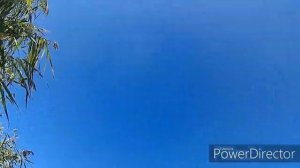 Охота на раскатах в Астрахани октябрь 2019 год