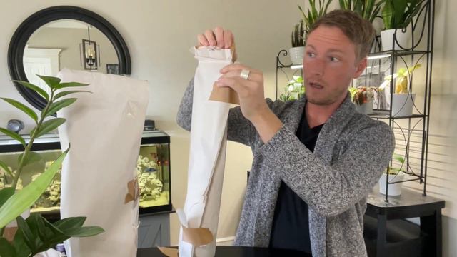 Ecuagenera Haul! | Flying Cross-Country with Houseplants! | URBAN FARMBOYS смотреть онлайн