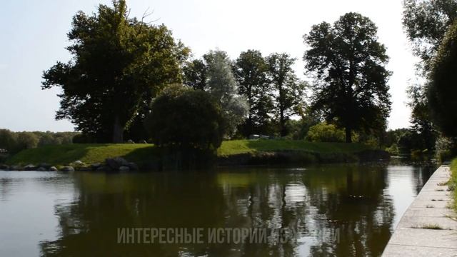 ПЫХТЕЛ НАД НЕЙ ДО МОЗОЛЕЙ. Интересные истории из жизни. Жизненные истории, аудио рассказ смотреть онлайн