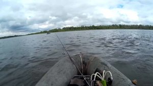 Ловля судака на джиг с лодки р. Дон. Hearty Rise - Pro Force 732L