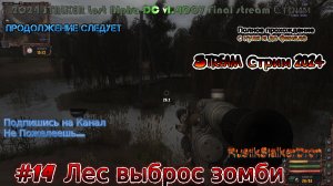 2024 STALKER Lost Alpha DC v1.4007 Final stream Стрим #14 Лес выброс зомби