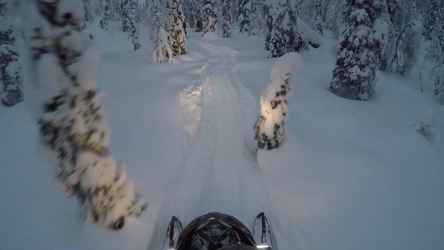 Кандалакша 2019 смотреть онлайн