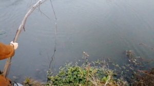 ЛОВЛЯ ПАУКОМ В НОЯБРЕ//КАК МЫ ЗАКРЫВАЕМ СЕЗОН ПАУКОМ//МОЖНО ЛИ ПОЙМАТЬ ЧТО-ТО ПОЗДНЕЙ ОСЕНЬЮ??