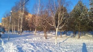 В летнем парке зима…