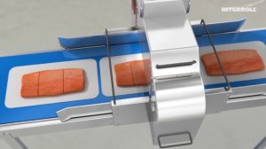 Interroll Drum Motor