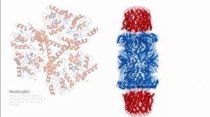 USMLE RX - 1.Биохимия - 1.Клеточная - 13.Протеасома