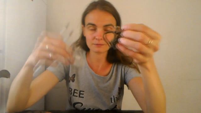 Реанимация орхидей: стимулирующая обработка фитоцидом и замачивание в топазе от фузариоза смотреть онлайн