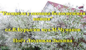 Расцвела у окошка белоснежная вишня