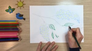 Черемуха рисунок. Как нарисовать черемуху Есенин. Нарисовать рисунок весна. Весеннее цветущее дерев