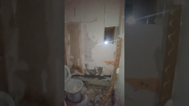 Предоставление в аренду нежилого помещения