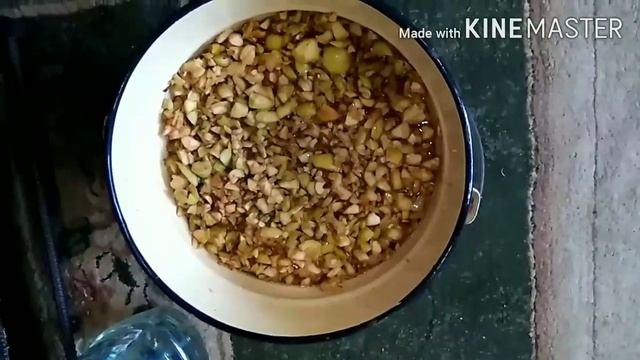 Яблочный уксус. Уксусная матка. Готовим яблочный уксус смотреть онлайн