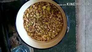 Яблочный уксус. Уксусная матка. Готовим яблочный уксус