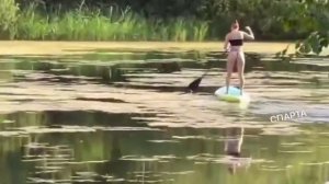 И фотография твоя напомнит снова мне тебя