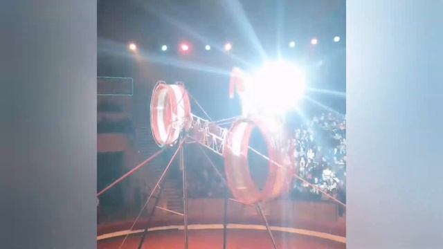 Мы в цирке смотреть онлайн