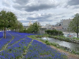 Москва. Парк Зарядье в мае