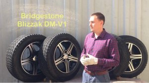 Bridgestone Blizzak DM-V1