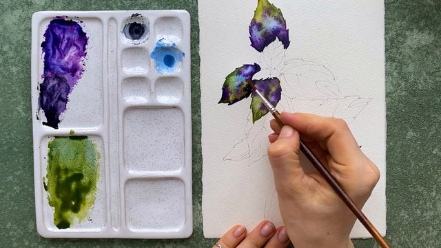 Рисуем базилик акварелью вместе с Inisflowers | Рисование акварелью