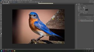 Инструменты в Фотошоп (Photoshop) Размытие, Резкость, Палец