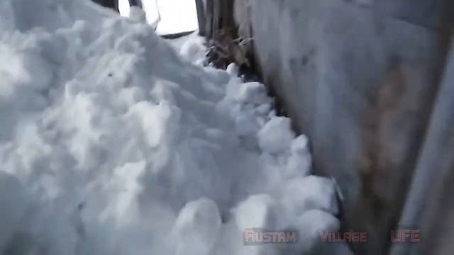 Полезные хитрости ,Хитрое стекло для теплиц смотреть онлайн