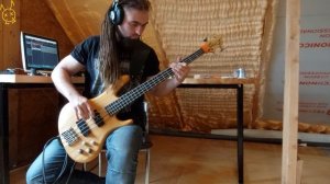 Я буду твоим солнцем Playthrough bass guitar Мёртвые осы