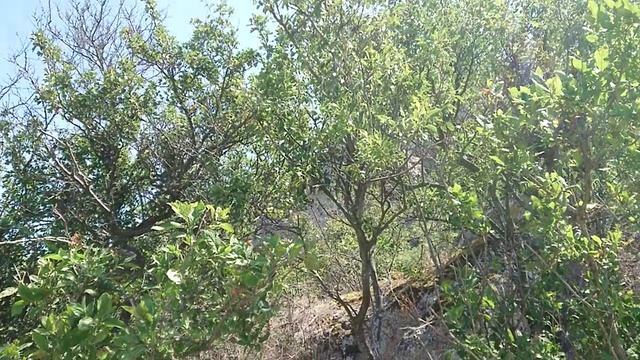 18.11.2020 Ода любви.mp4