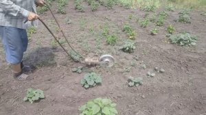 Приспособление для прополки сорняков