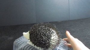 How to Make a Hedgehog | Как Сделать Ёжика